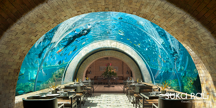 峇里島唯一海底餐廳 Koral 峇里島唯一海底餐廳 Koral