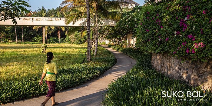 峇里島式的款待 峇里島式的款待