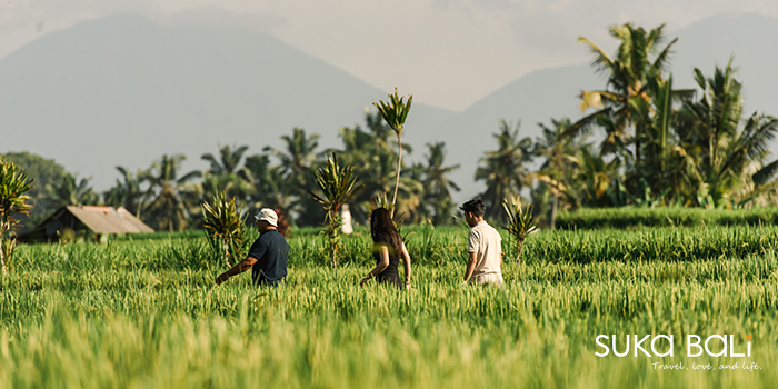 多樣專屬烏布體驗 (加價選購) 多樣專屬烏布體驗 (加價選購)