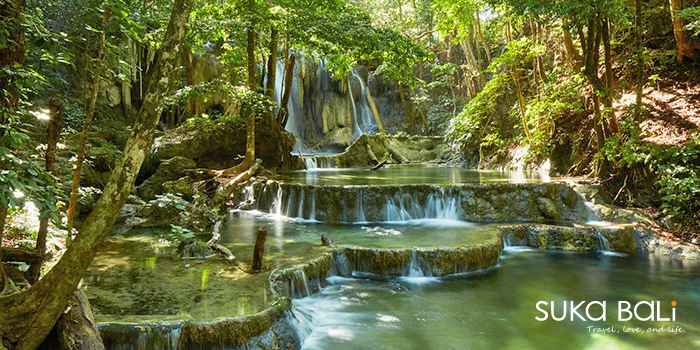 充滿自然景觀的叢林 充滿自然景觀的叢林