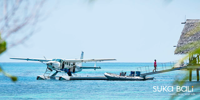 VIP 接送服務 (加購項目)