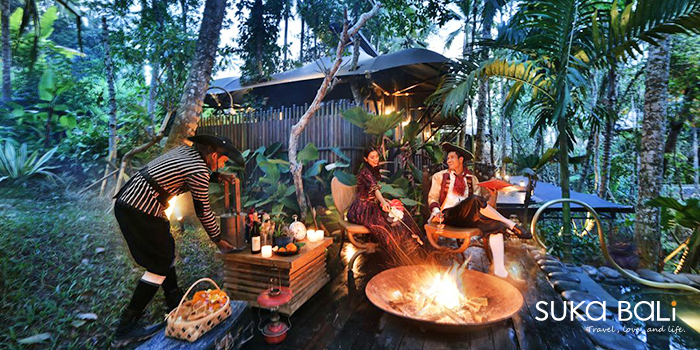 叢林裏奢華假期