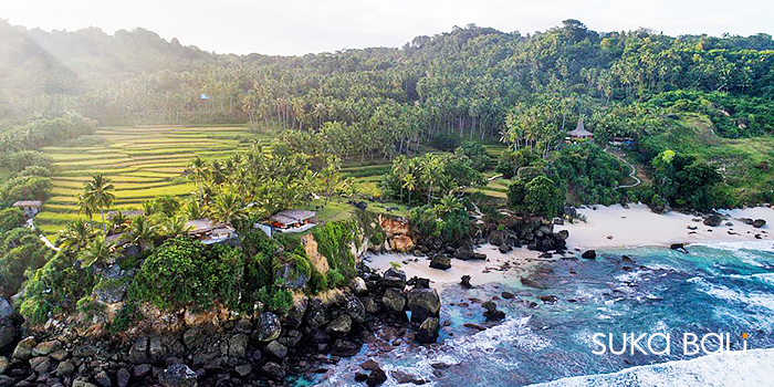 純淨自然的松巴島