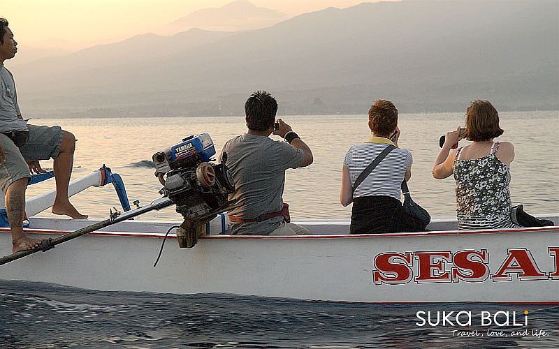 Lovina 追海豚浮潛-7 Lovina 追海豚浮潛-7