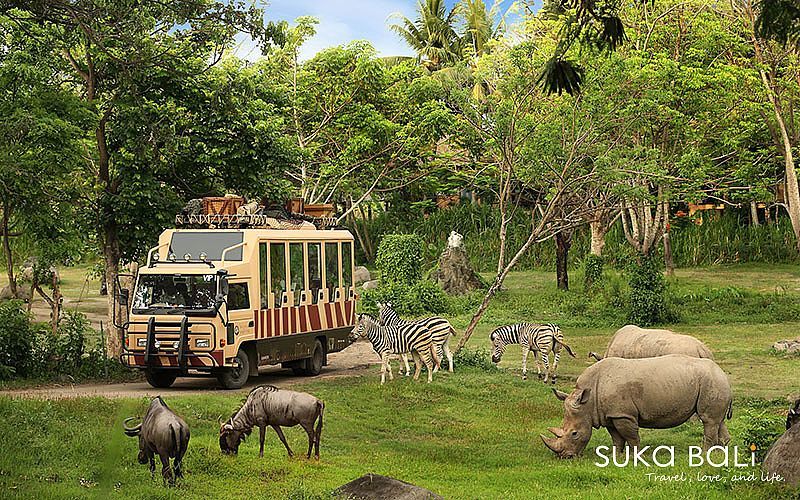 Bali Safari 野生動物園 -2
