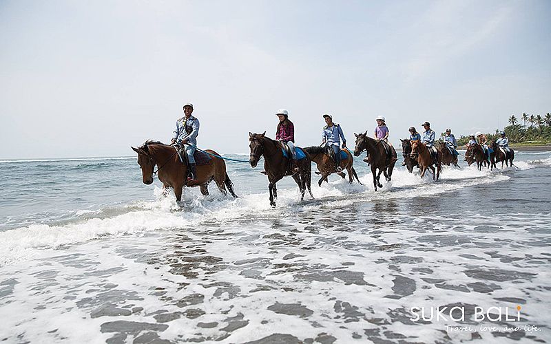 海濱騎馬-3 海濱騎馬-3