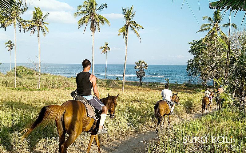 海濱騎馬-1 海濱騎馬-1