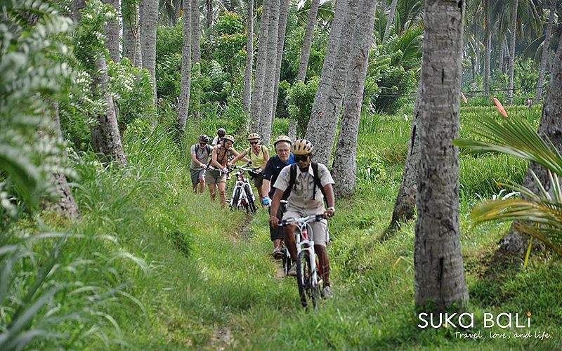 自行車遊村莊-1 自行車遊村莊-1