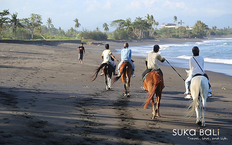 海濱騎馬-6 海濱騎馬-6