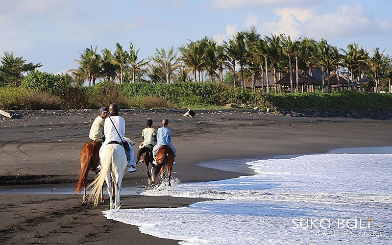海濱騎馬-4 海濱騎馬-4