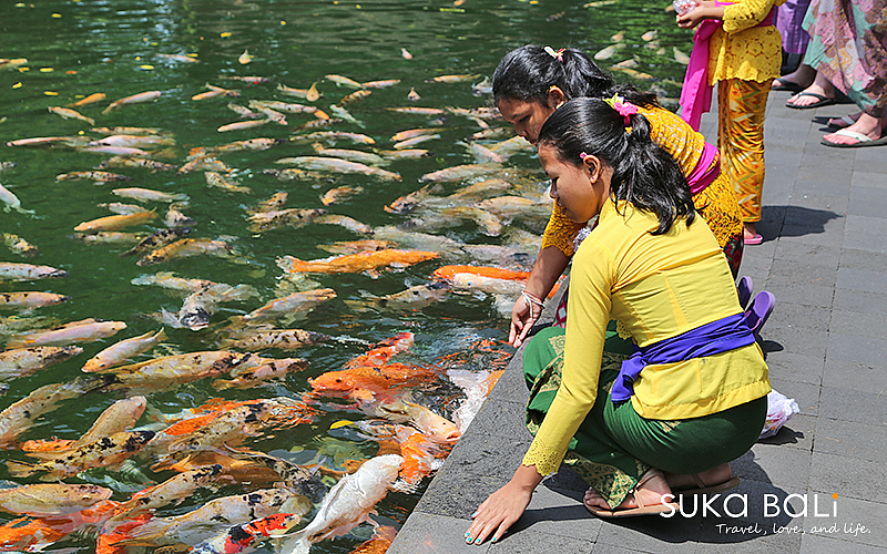 聖泉寺-5 聖泉寺-5