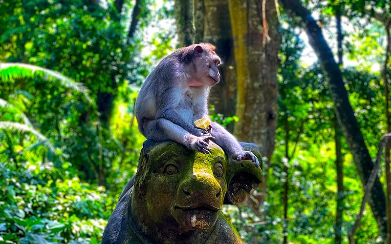抵達峇里島-6 抵達峇里島-6