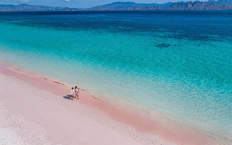 科摩多島-3 科摩多島-3