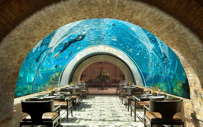 知名海底餐廳創意料理-2 知名海底餐廳創意料理-2