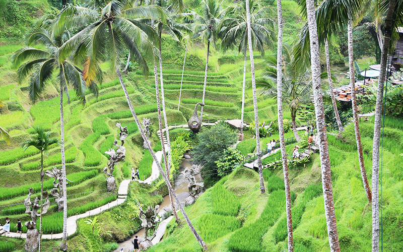 德歌拉朗梯田拍照打卡-1 德歌拉朗梯田拍照打卡-1