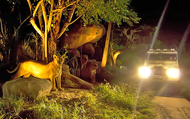 夜遊野生動物園 Night Safari-2 夜遊野生動物園 Night Safari-2