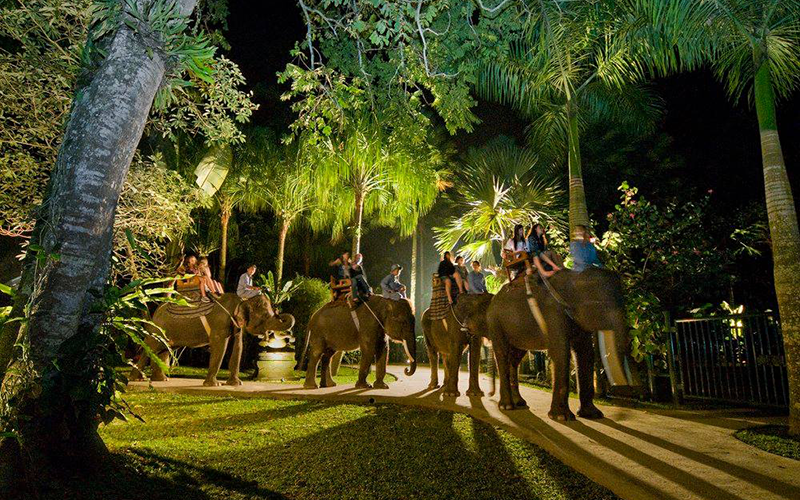 大象賽佛瑞旅館 – check in-1 大象賽佛瑞旅館 – check in-1