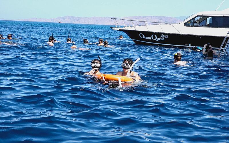 Manta Point 浮潛-1