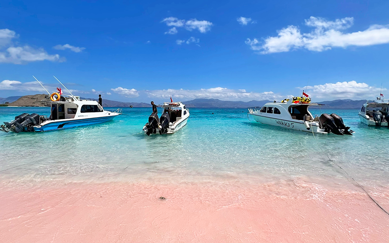 粉紅沙灘 Pink Beach-2