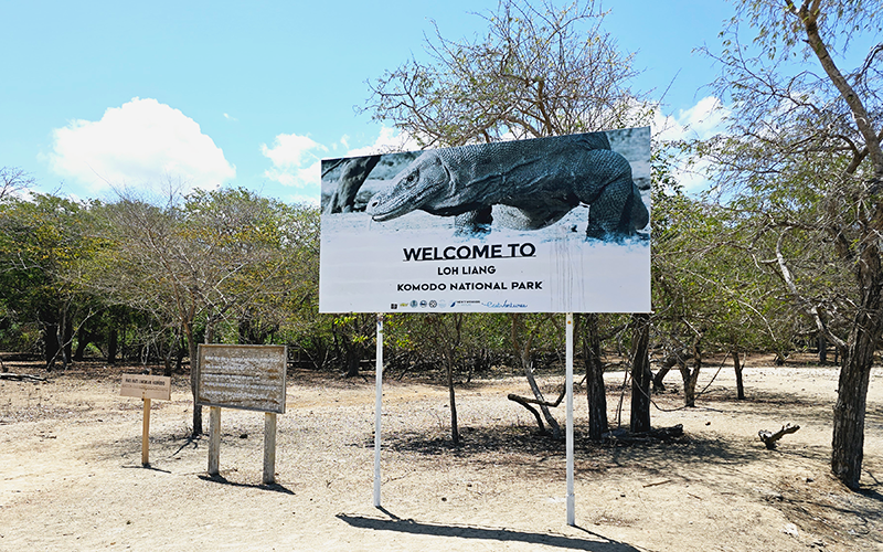 林卡島/科摩多島 Rinca Island / Komodo Island-1
