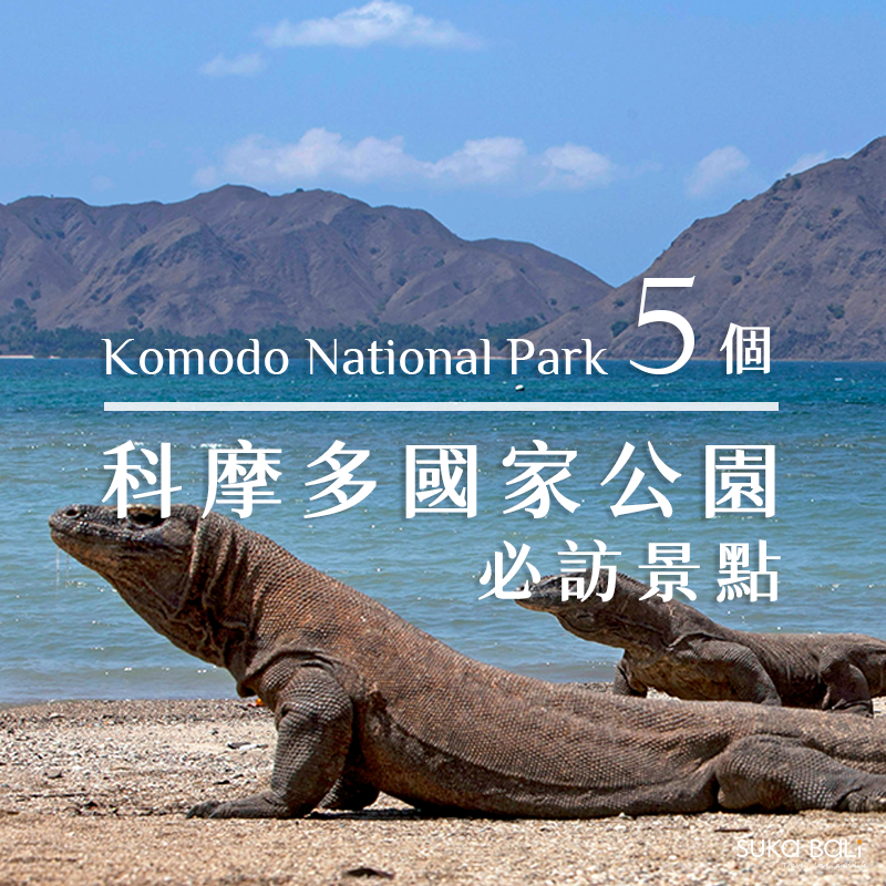 科摩多景點攻略|5個科摩多國家公園必訪經典景點! 海天一色絕美推薦 科摩多景點攻略|5個科摩多國家公園必訪經典景點! 海天一色絕美推薦
