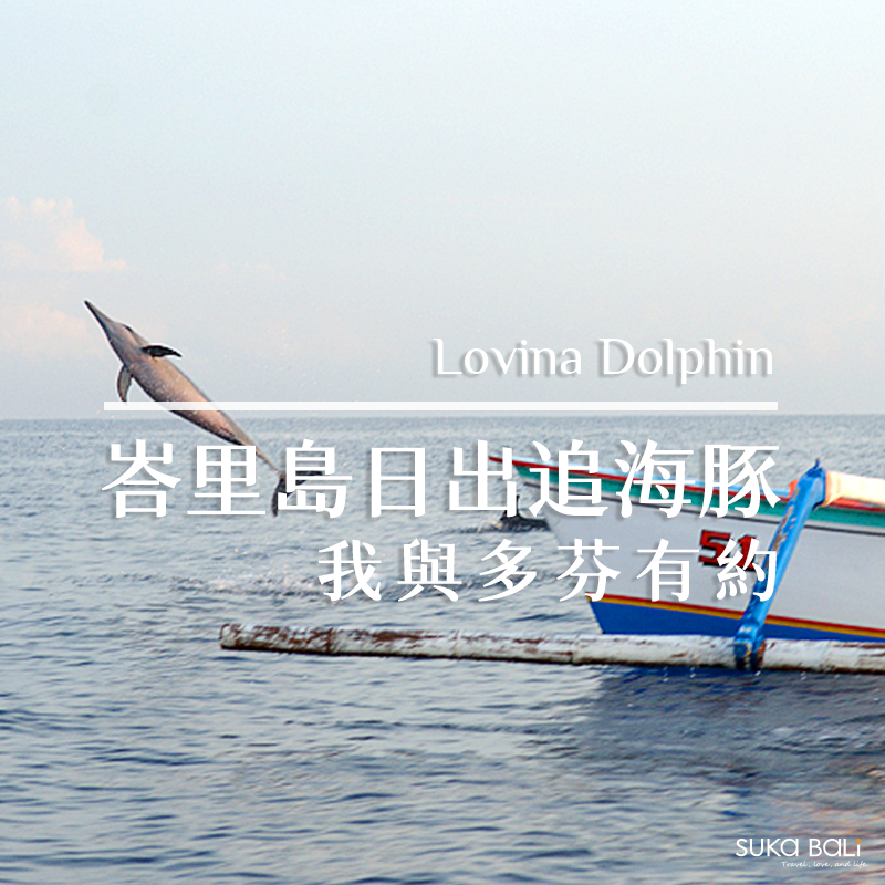 峇里島景點推薦｜峇里島日出追海豚，我和多芬有約
